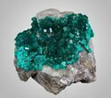 Emerald-Green Dioptase Cluster - Kazakhstan #34967-2